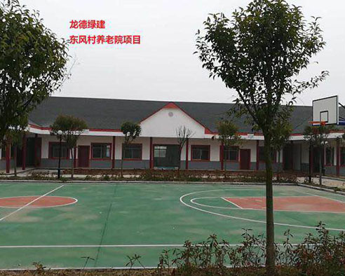 龍德綠建東風(fēng)村養老院項目